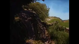 Like it Never Even Happened