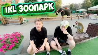 АНЕК И ДРЕЙК В ЗООПАРКЕ | ПОЛНАЯ ЗАПИСЬ СТРИМА от 17.07.2023