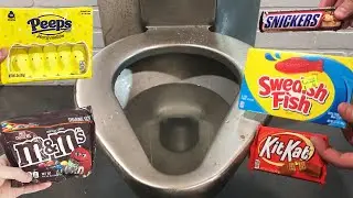 Candy Haul VS Prison Toilet! Will it Flush? - Peeps, M&Ms, Kitkat, Swedish Fish, Snickers