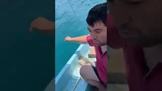 Takoz çüpra avı