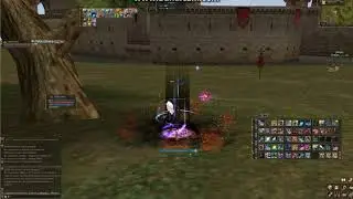 MAg_bomj_test_DMg