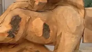 Браво мастеру! Невероятная скульптура из дерева