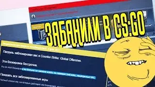 Мне дали vac ban? (кс:го монтаж)