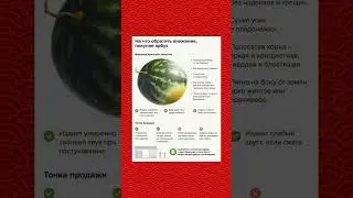 а вы знали...