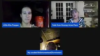 Ladies Night Live:: Prepping and Homesteading Hosted by Little Miss Prepper