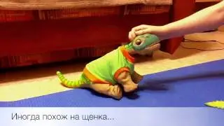 Интерактивный динозавр PLEO RB