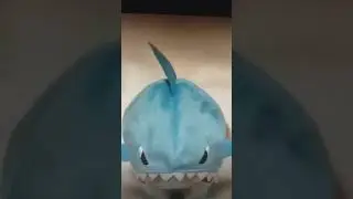 Shark eats dog 