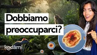 Cosa sappiamo oggi sul vaiolo delle scimmie: in Italia dobbiamo davvero preoccuparci?