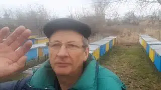 Зимівля бджіл у вуликах лежаках