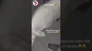 Возите правильных подруг ))