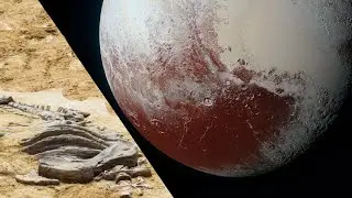 This is what scientists saw when they arrived at Pluto.