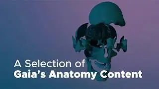 Gaia Content: Anatomy Reel (How do you teach anatomy using technology?)