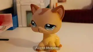 молчаливое видео LPS