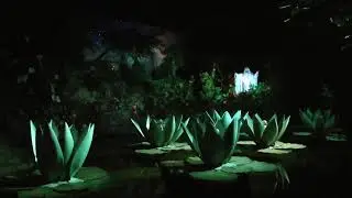 De Indische Waterlelies - Efteling