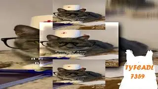 YTPMV Download Has BSOD Vegas Pro 17 0 Scan