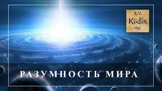 Есть ли во Вселенной разумное начало? Что лежит в основе реальности? (из цикла бесед за чашкой чая)
