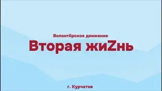 Волонтерское движение «Вторая жиZнь»