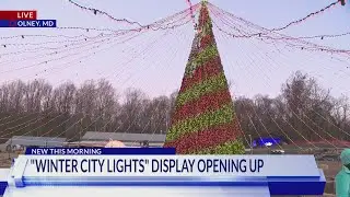 Winter City Lights preview
