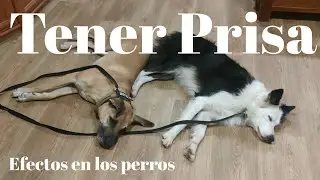 El problema de 