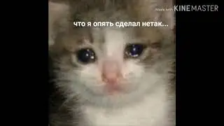 Мем картинки