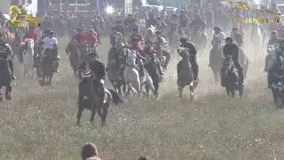 TEMUR POLVON POLVON LAQABLI TULPORDA MARRA QILDI. ZOMIN BESHYUZ 63-RAZEZD 31.10.2024