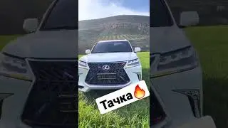 Что за зверь ?😱 