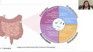 The role of the microbiome in a person's health