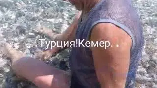 Турция