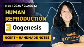 Oogenesis | Human Reproduction | CBSE Class 12 Biology🎯 | Vani Ma'am | VEER NEET Batch 2024👩🏻‍⚕️
