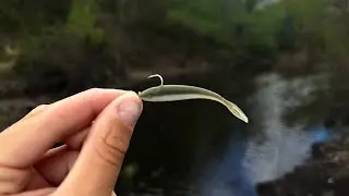 Micro Fishing a Tiny Creek for Big Fish!