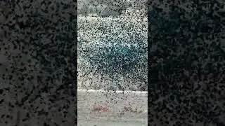 new post short video