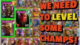 MY NEXT PLANNED CHAMPS TO BUILD! 