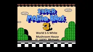 Super Mario Bros 3 5-5 White Mushroom House