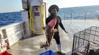 Tk's best trip yet! The boys come across more Indo Long Lines and more monster groupers
