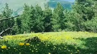 Свадьба в Селе Кина 🏞️