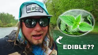 Spring Fishing & Foraging | Eating A Wild Poisonous Plant!