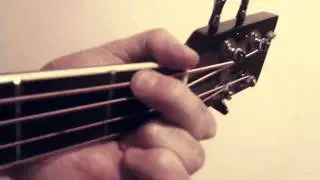 Animals (Martin Garrix) Acoustic Guitar Cover with TABS
