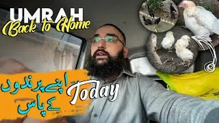 Back To Home From UMRAH | MaaShaAllah Se New Chicks Nikal Aaye  😍 Usama Butt Vlogs