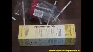 Общий анализ мочи