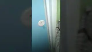 Ngintip istri di kamar mandi ternyata istrinya lagi MANS**U**SI