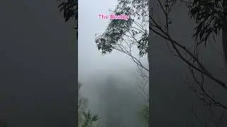 Expectations vs reality 👀😂 #funny #meme #fail #travel #vlog #bluemountains #australia #fun