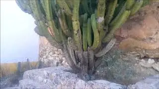 Explorando la Historia en Cerro de San Pedro S.L.P. Enigmático y bello lugar