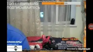 Неудачная чайка от Мопса
