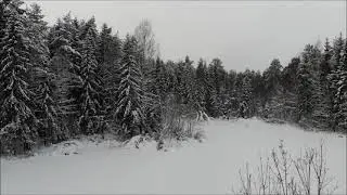 Dji mavic air.Полеты в феврале