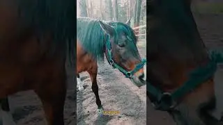 ⚡узнавай все первым в тг: @eqvirey