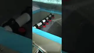 19 ноября 2021 г.