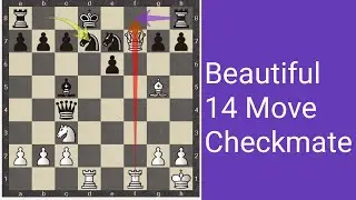 Beautiful 14 Move Checkmate