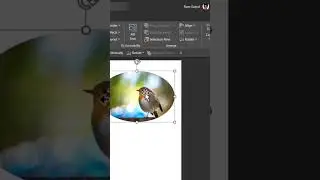 Crop a Photo into Circular Shape