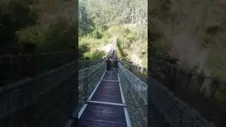 Kapıkaya Kanyonu Sallanan Köprü