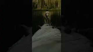 Mountains, rivers, and lakes